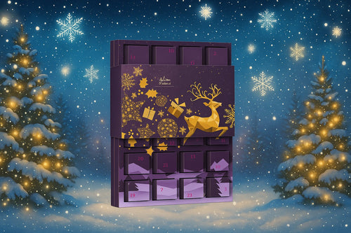 Damky’s Adventskalender 🎄✨